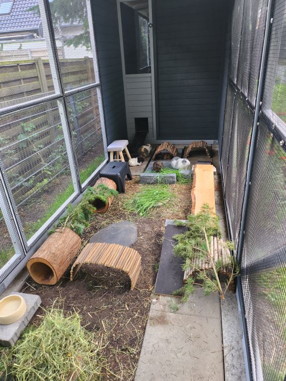 2m hohes Meerschweinchengehege mit viel Auslauf